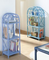 /album/auxiliares/estanterias-11-10-jpg/